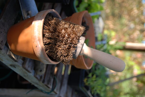 Head Gardener for Horatio’s Garden Scotland