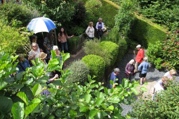 Rachel and Dave’s Open Garden Day in Shropshire