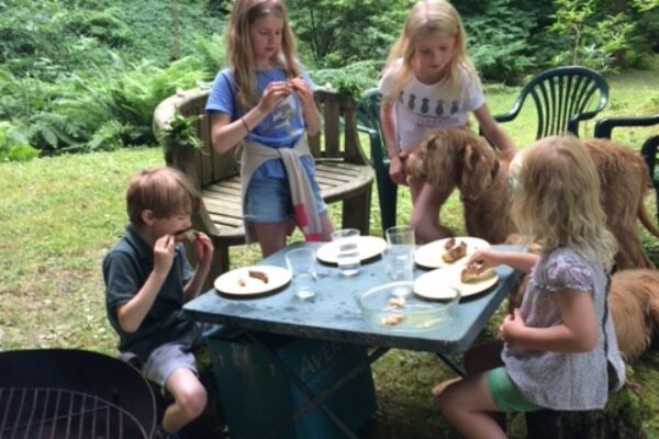 Dolhyfryd Family Picnic Fundraiser