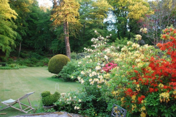 Dolhyfryd National Garden Scheme Open Garden