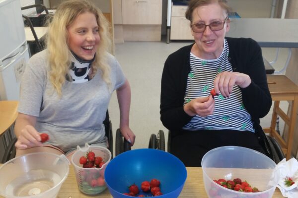 A perfect activity for the longest day of the year