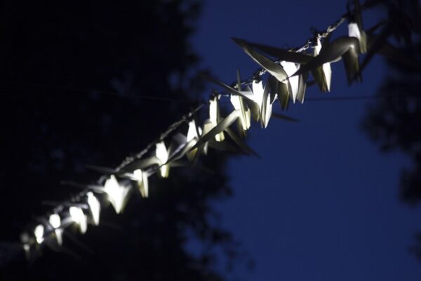kathy hinde art installation coming to horatio’s garden salisbury