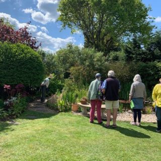 Visitors Admire Garden