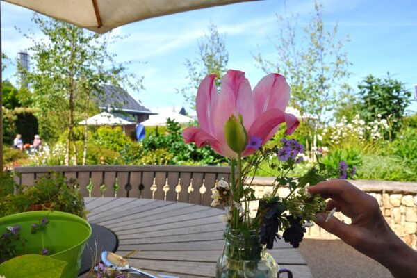 celebrating the national garden scheme ‘a path to health’ campaign