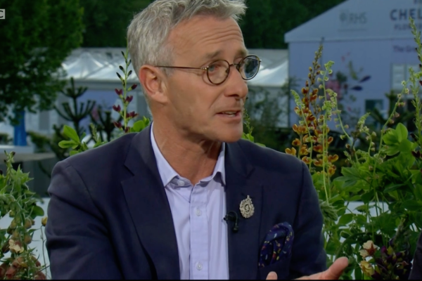rhs chelsea flower show 2019
