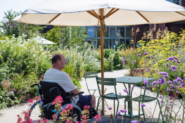 the importance of gardens for health and wellbeing in the salisbury journal