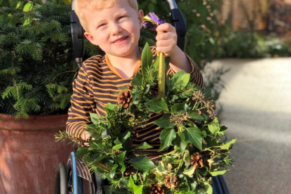 festivities in horatio’s garden