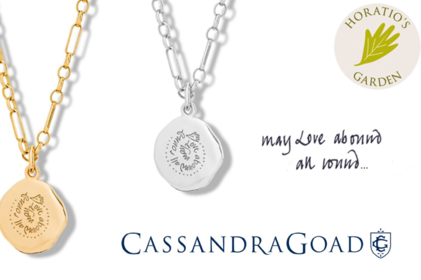 cassandra goad – the perfect christmas gift