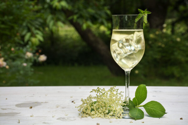 spring supper at pythouse