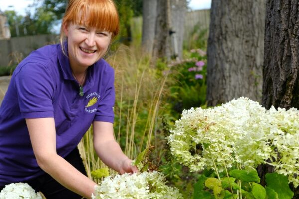 growing through lockdown, by chelsea lowe