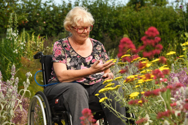 coronavirus update: horatio’s garden salisbury