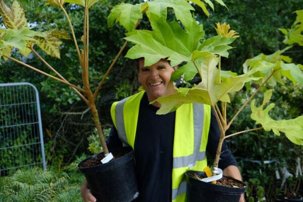 planting has begun in horatio’s garden london & south east!