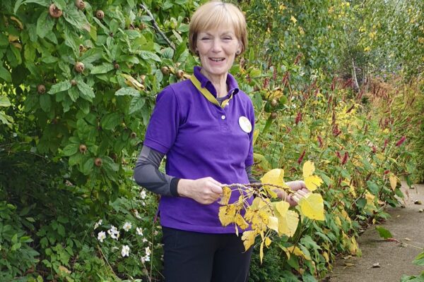 sheila’s volunteering story