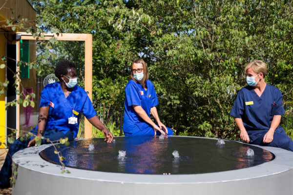 horatio’s garden in which? gardening, penarth view and taspo garten design
