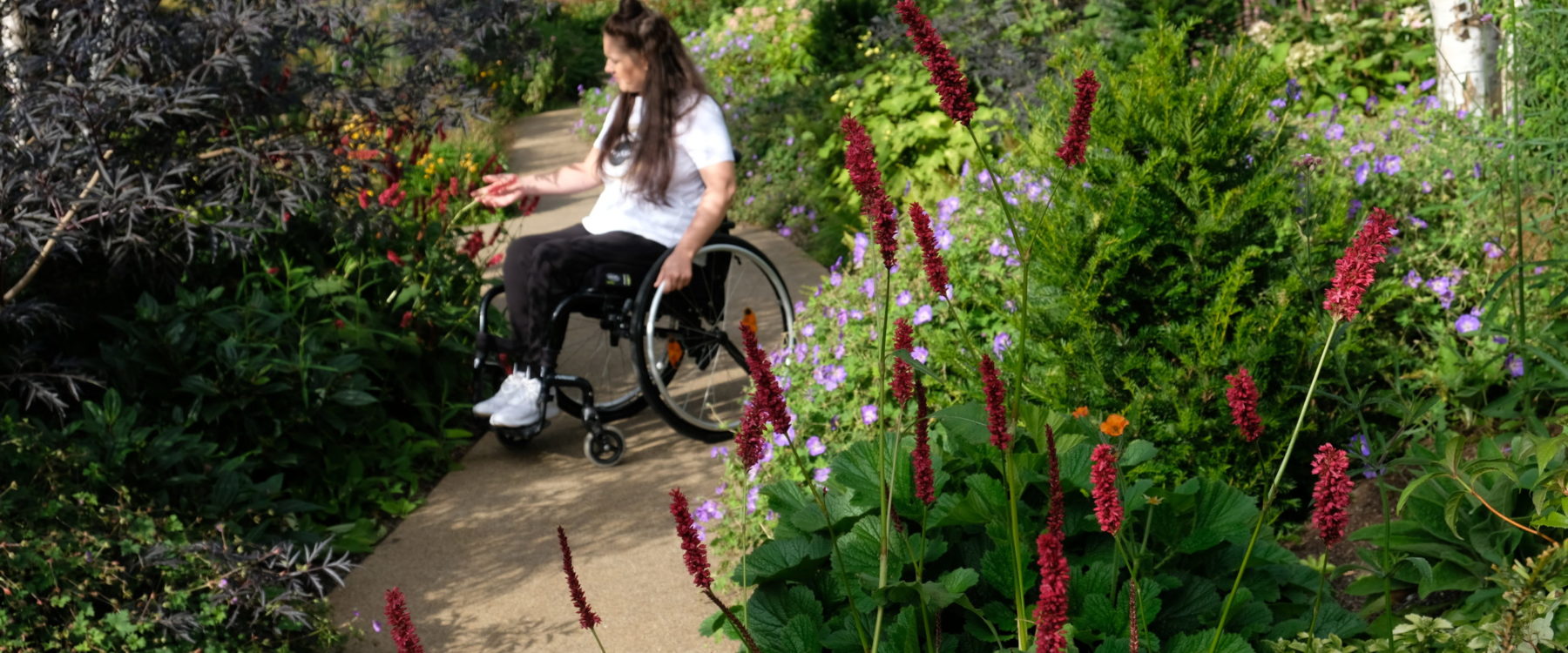 horatios-garden-scotland