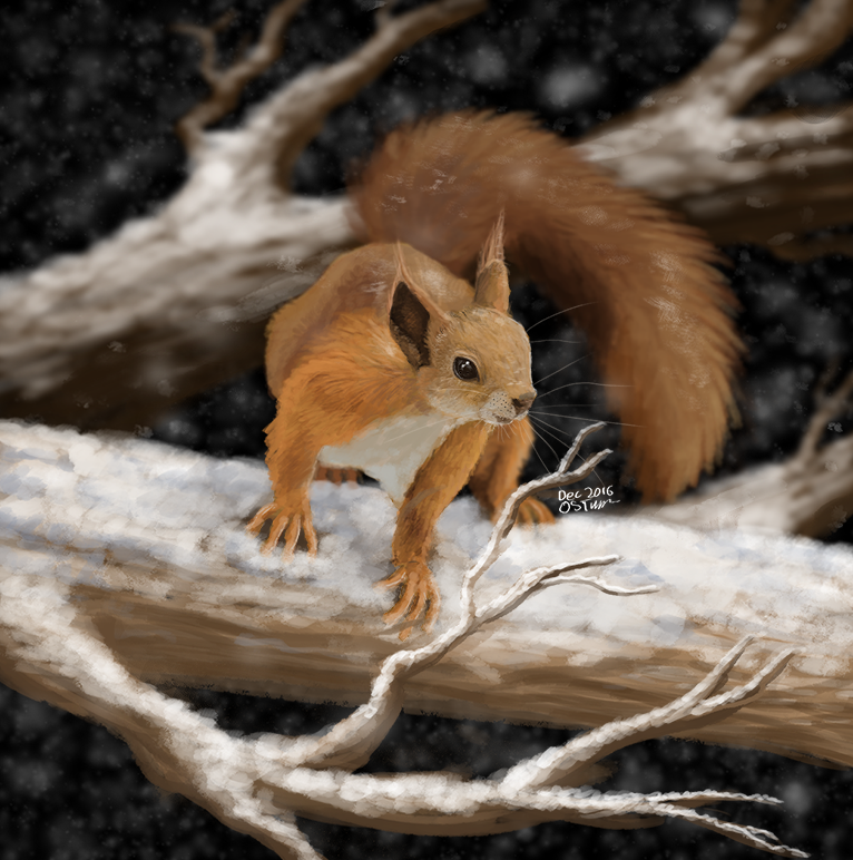 Olivia Tuppen Red Squirrel Digital Painting