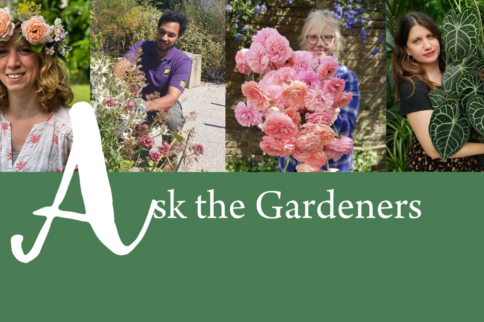 Ask the Gardeners Promotional Image