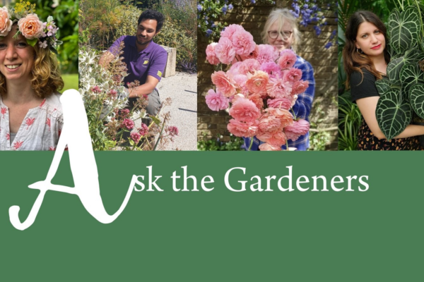 ashley edwards to appear on the charterhouse ‘ask the gardeners’ panel