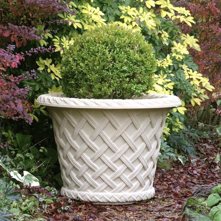 horatio's garden spring raffle - Horatio's Garden