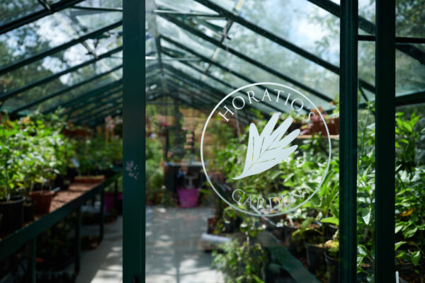 photographer in residence matt writtle inspires people in horatio’s garden london & south east