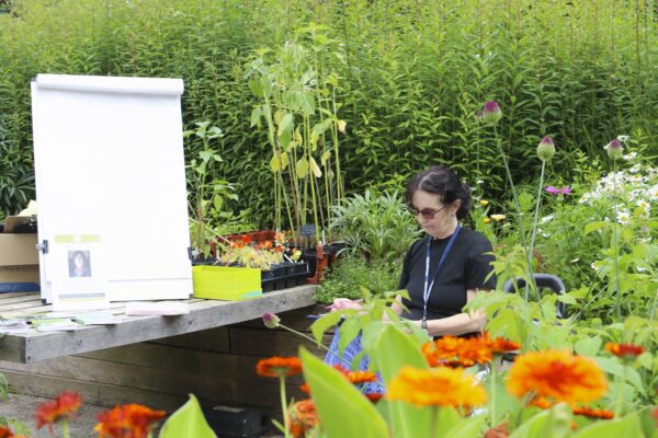 jayne woodhouse is our new creative writer in residence in horatio’s garden south west!