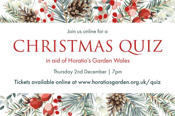 online christmas quiz supporting horatio’s garden wales
