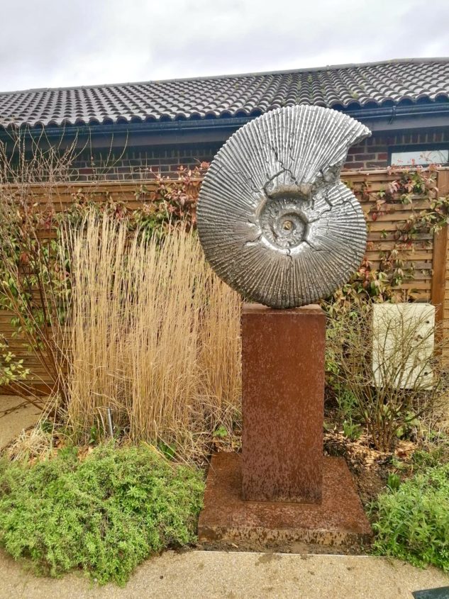 Ammonite in Horatio's Garden