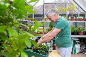 Patient sowing seeds in Horticultural Therapy