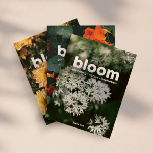 A Year's Subscription to Bloom Magazine