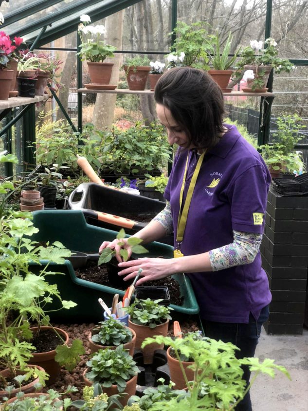 Lauren Volunteering in Greenhouse