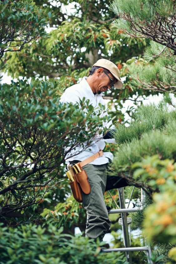 Niwaki GR Pro Secateurs, Tool Care Bundle and Pair of Niwaki Gardening Gloves