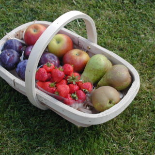 Comtemporary Rother Garden Trug, filled with colourful fruit
