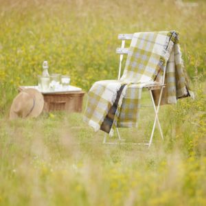 Picnic Rug Roll