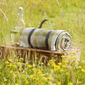 Picnic Rug Roll