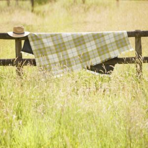 Picnic Rug Roll