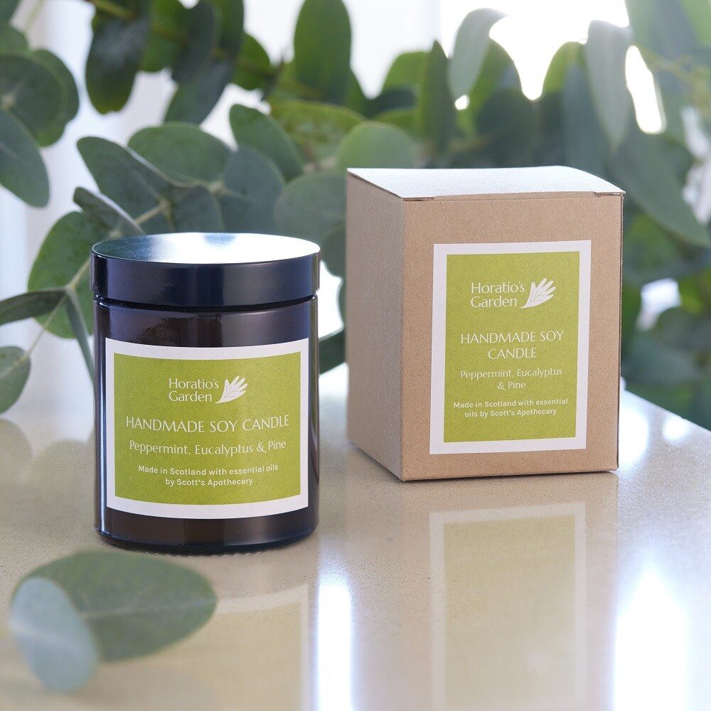 Peppermint, Eucalyptus and Pine Handmade Soy Candle
