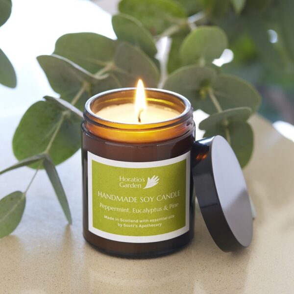 Peppermint, Eucalyptus and Pine Handmade Soy Candle