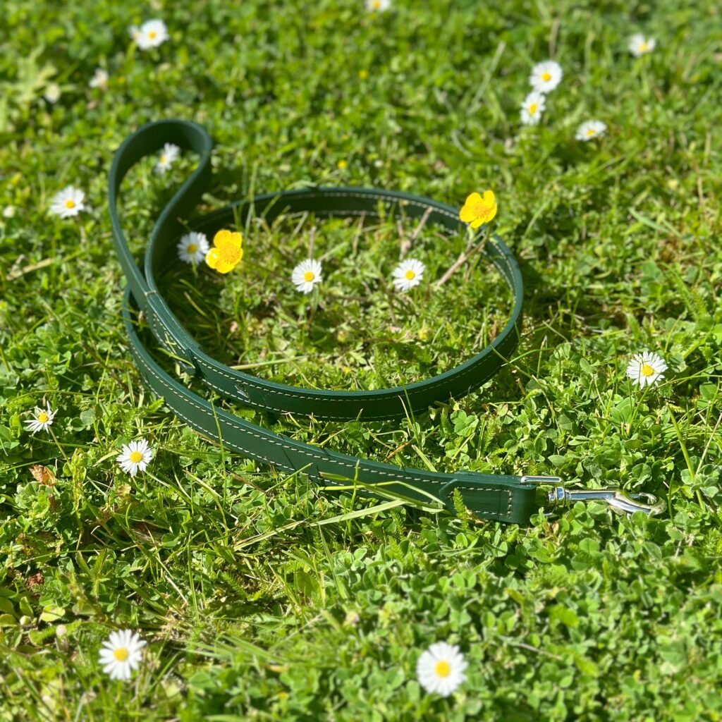 Leather dog lead