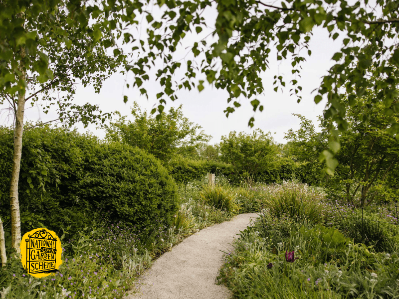 Horatio’s Garden South West National Garden Scheme Open Day