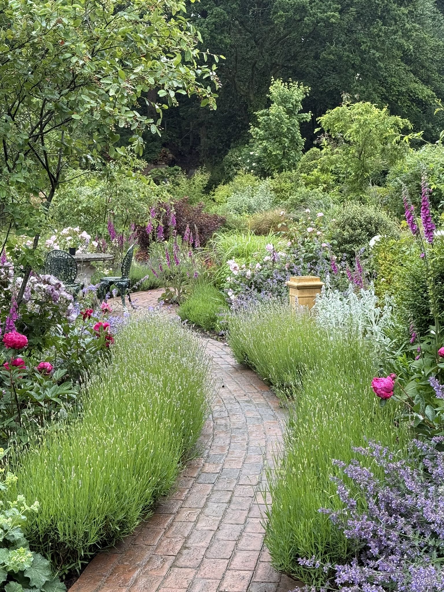 Susanne Boswell Garden Design Open Garden