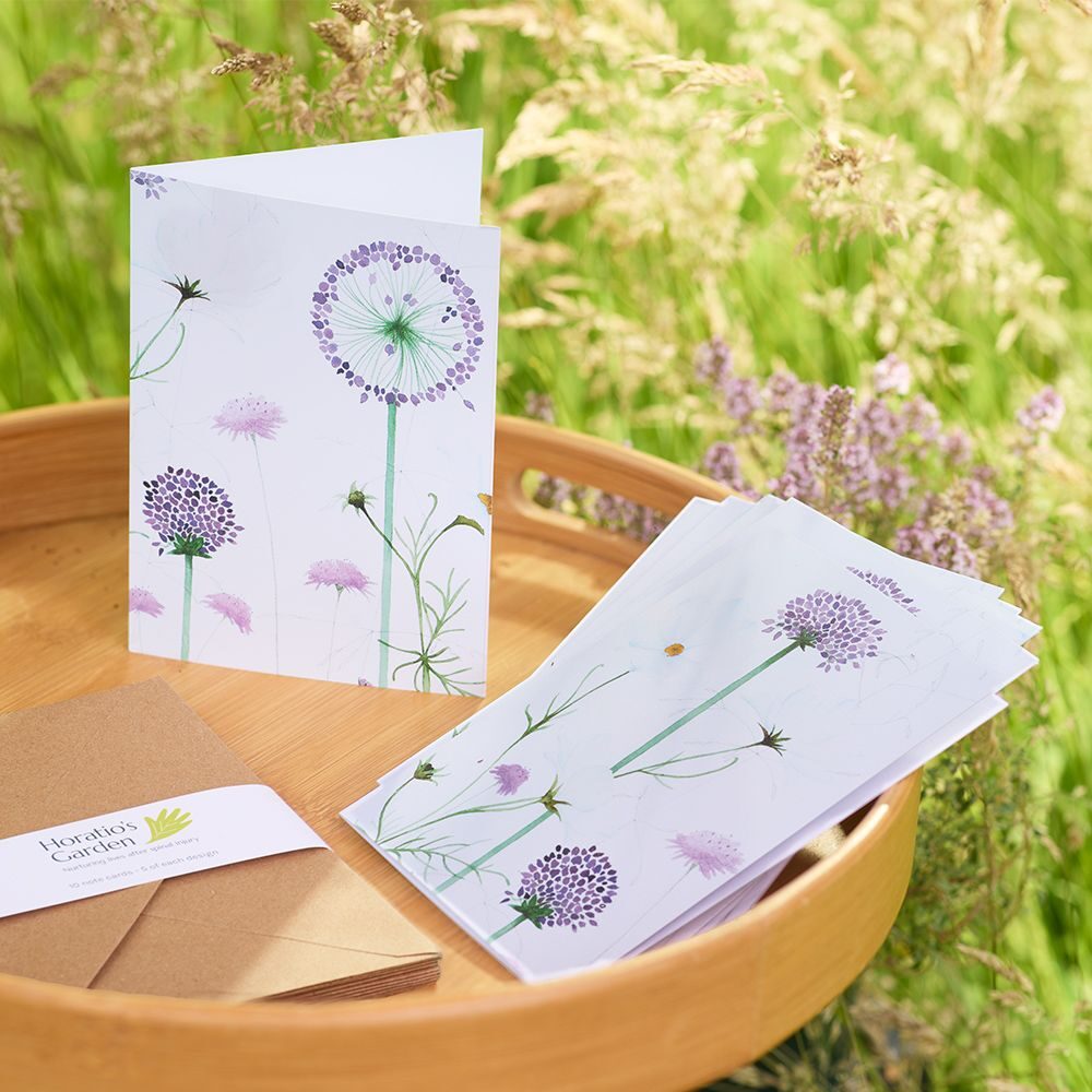 Allium Notecards